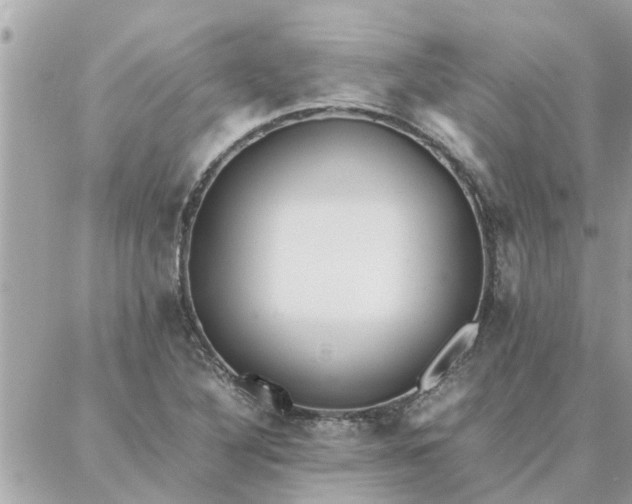 X0000087361316200705041845