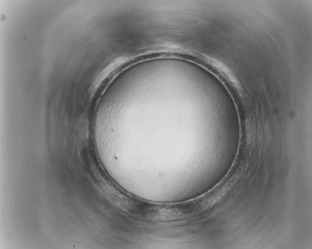 X0000087361318200705041845