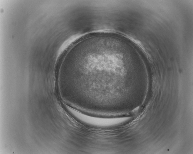 X0000087361319200705041845