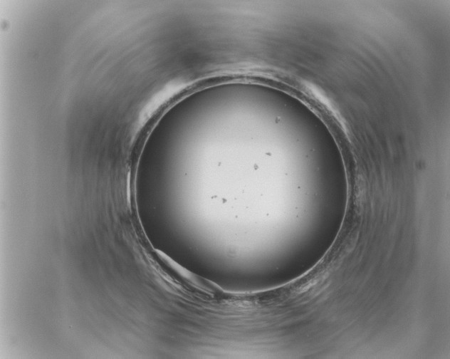 X0000087361320200705041845