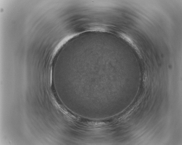 X0000087361323200705041845