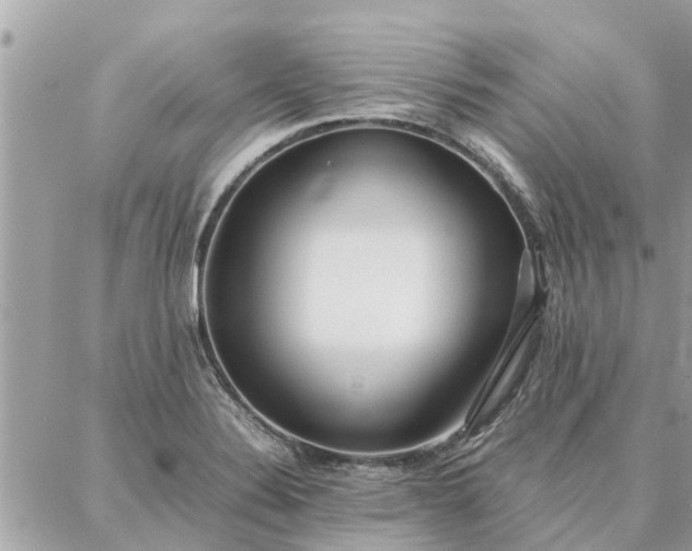 X0000087361324200705041845