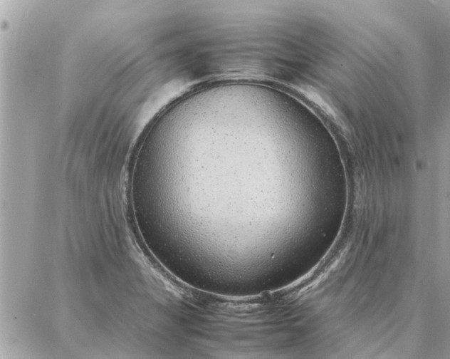 X0000087361325200705041845