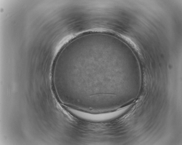 X0000087361327200705041845