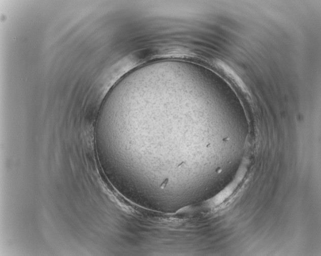 X0000087361329200705041845