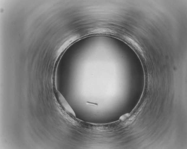 X0000087361330200705041845