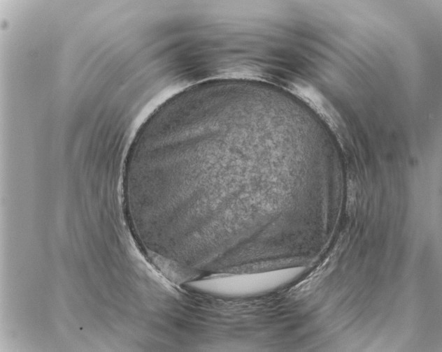 X0000087361331200705041845