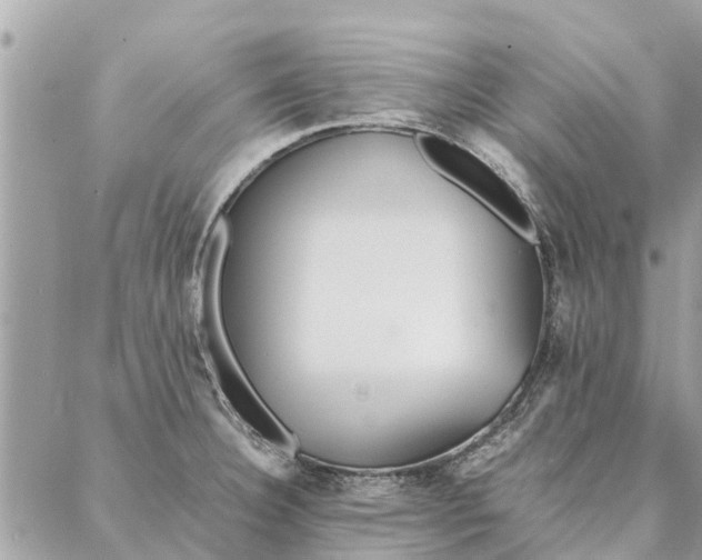 X0000087361332200705041845