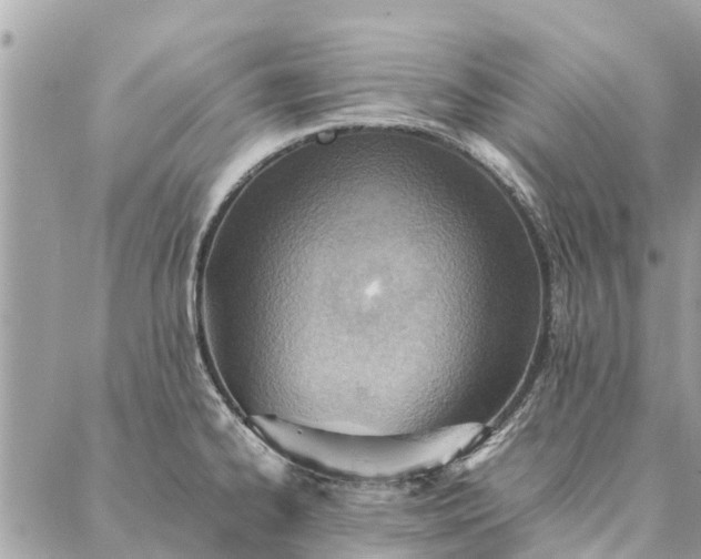 X0000087361334200705041845