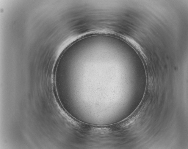 X0000087361335200705041845