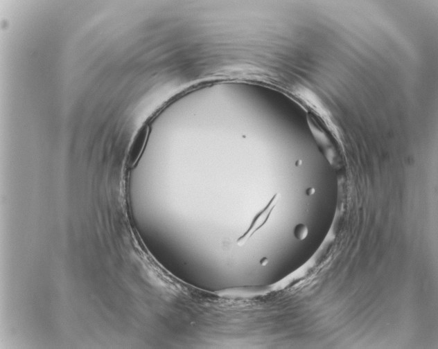 X0000087361336200705041845