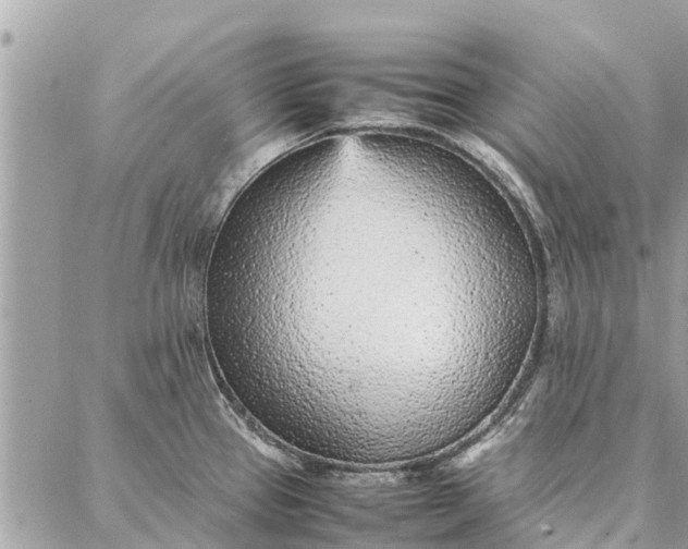 X0000087361337200705041845