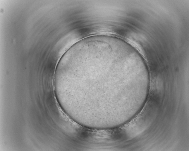 X0000087361338200705041845