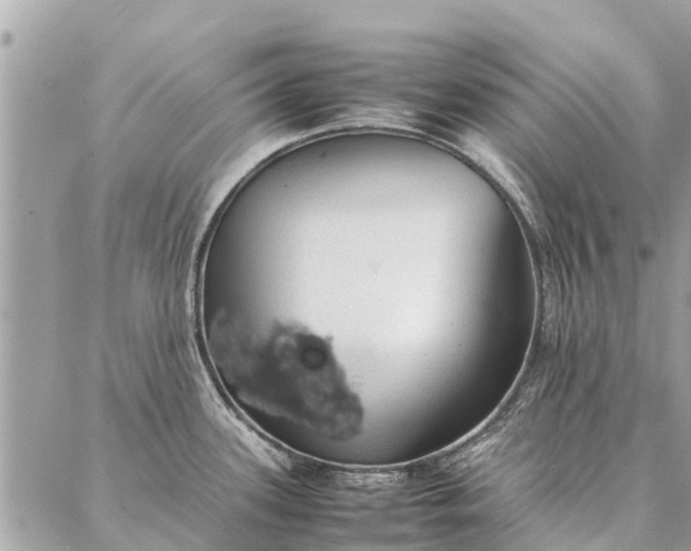 X0000087361339200705041845