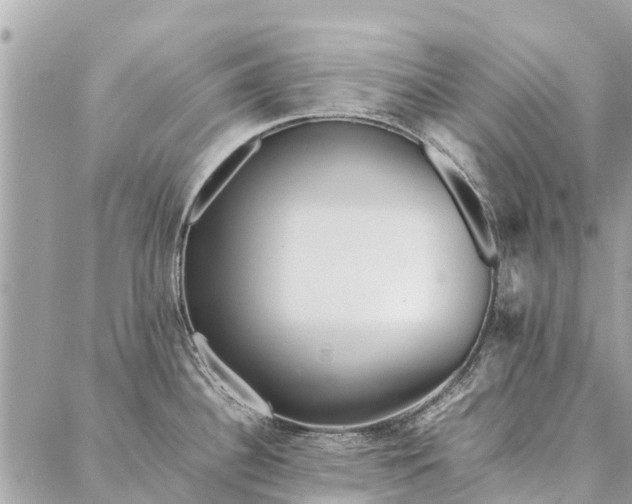 X0000087361340200705041846