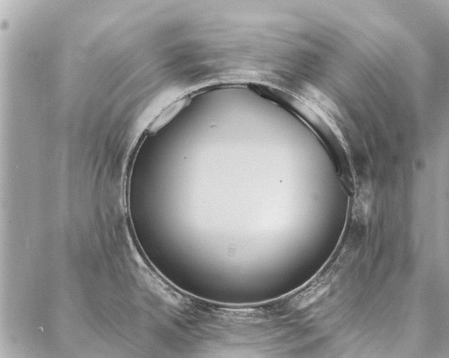 X0000087361342200705041846