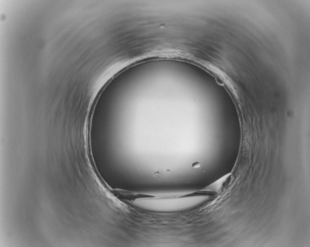 X0000087361343200705041846