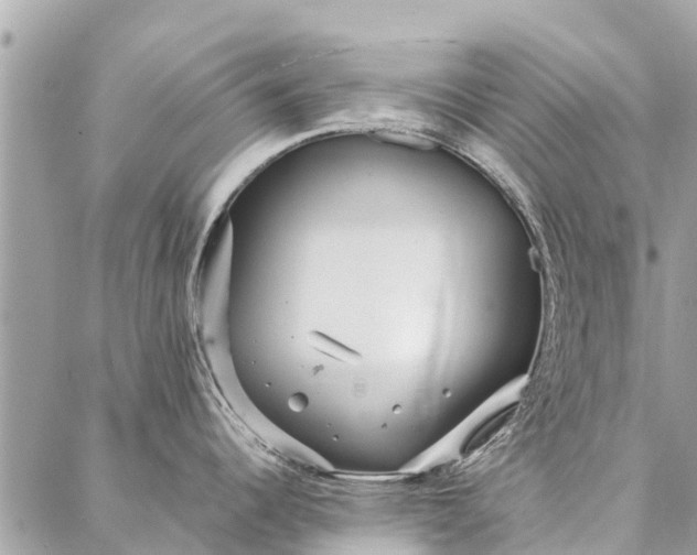 X0000087361344200705041846