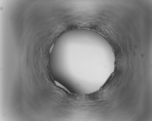 X0000087361345200705041845