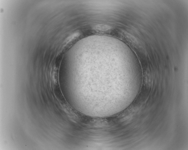 X0000087361346200705041845