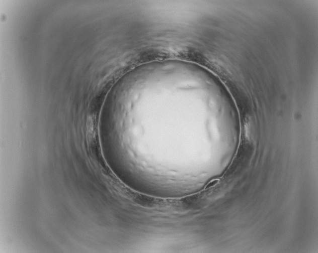 X0000087361347200705041845