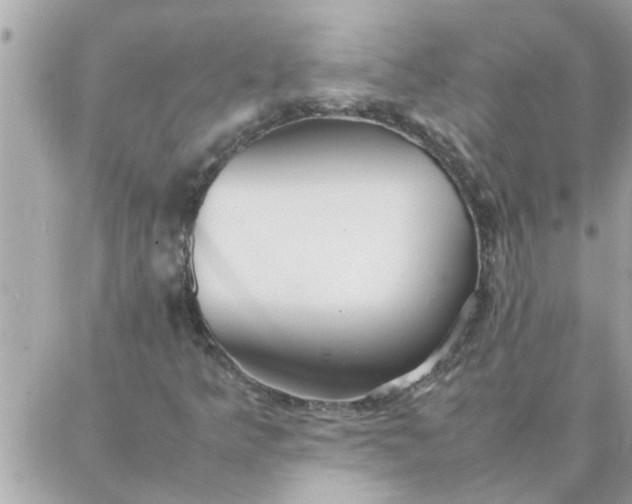 X0000087361349200705041845