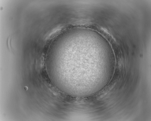 X0000087361350200705041845