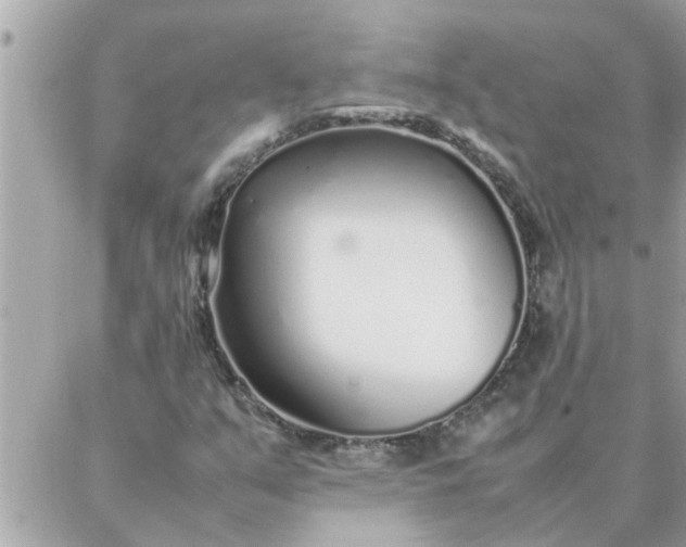 X0000087361351200705041845