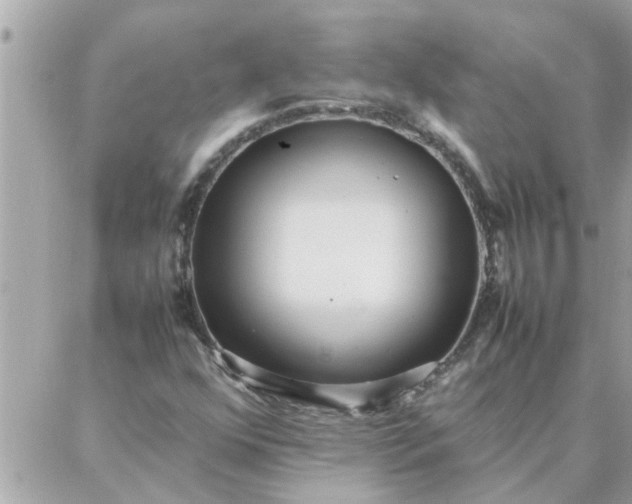 X0000087361352200705041845