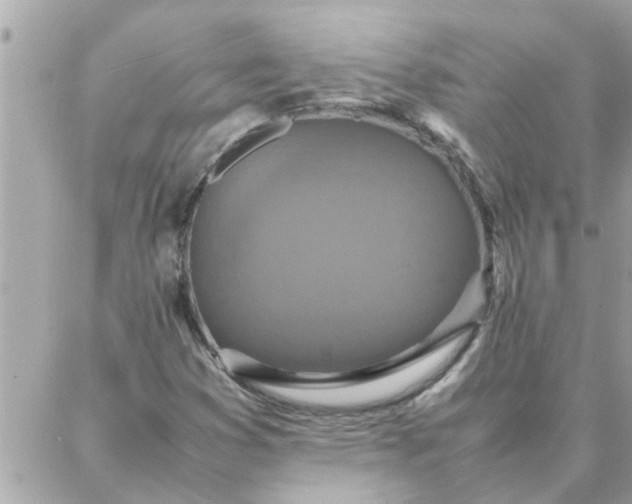 X0000087361353200705041845