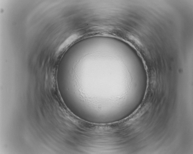 X0000087361354200705041845