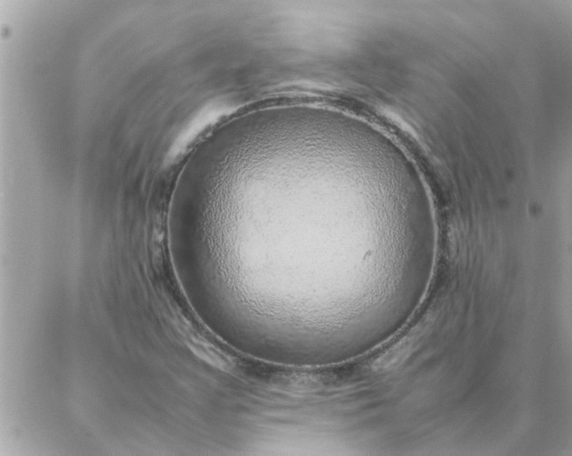 X0000087361355200705041845