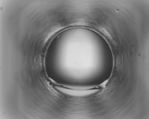 X0000087361356200705041845