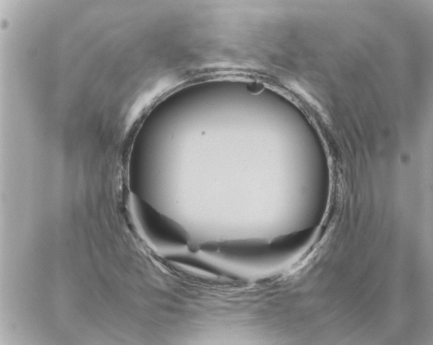 X0000087361357200705041845