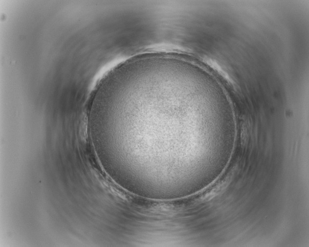 X0000087361358200705041845