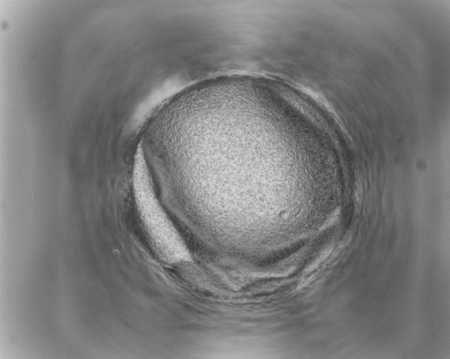 X0000087361359200705041845