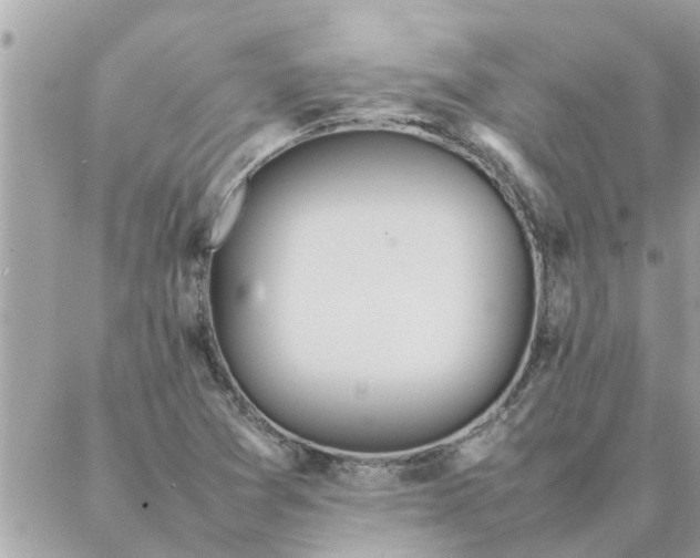 X0000087361361200705041845