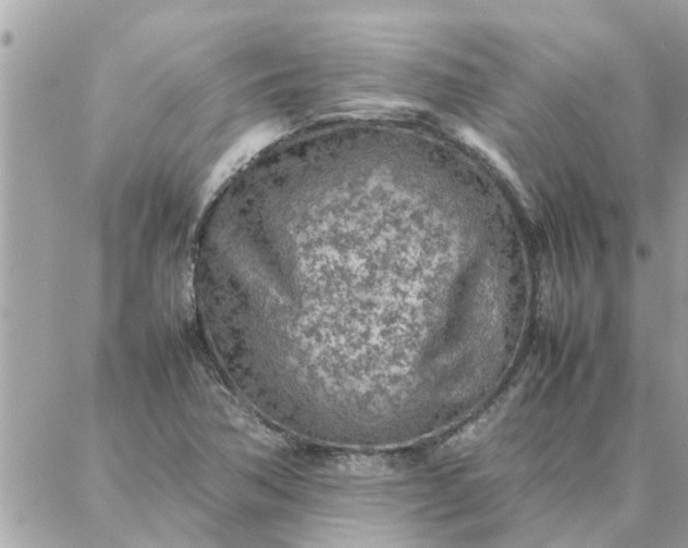 X0000087361362200705041845