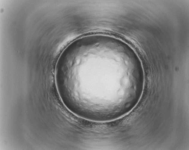 X0000087361363200705041845