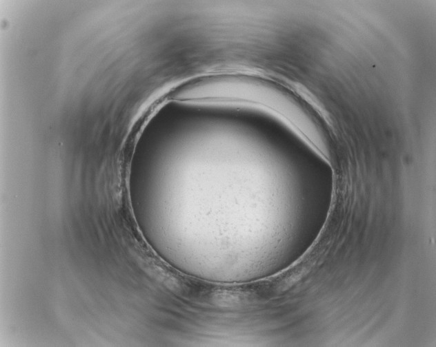 X0000087361364200705041844