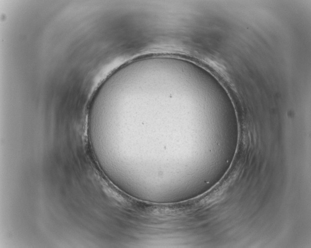 X0000087361366200705041844