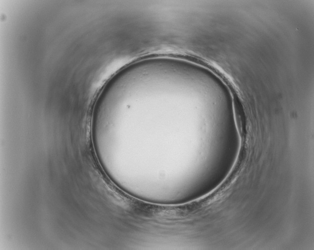 X0000087361367200705041844