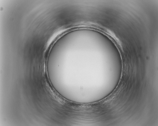 X0000087361368200705041844