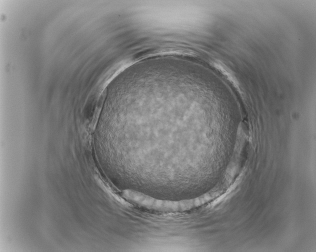 X0000087361369200705041844