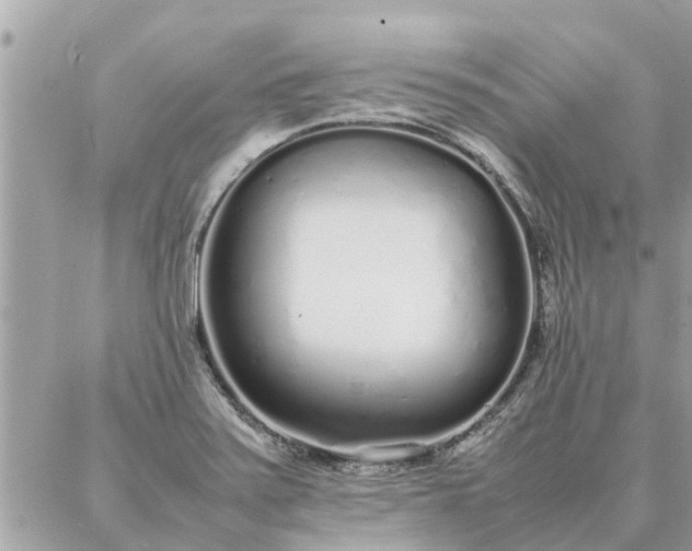 X0000087361371200705041844