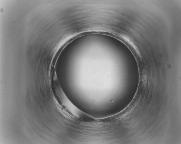 X0000087361372200705041844