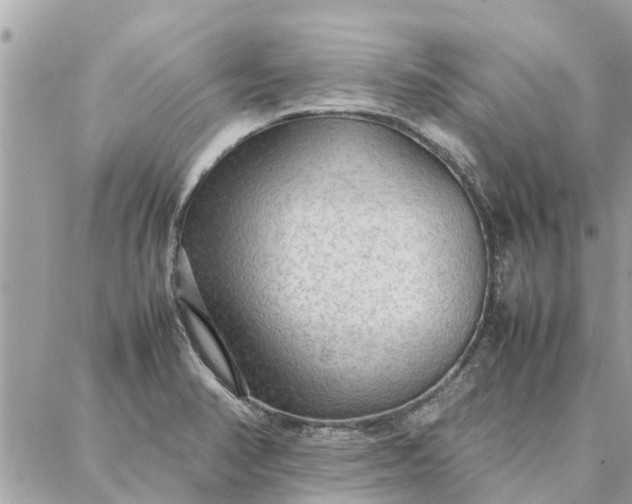 X0000087361374200705041844