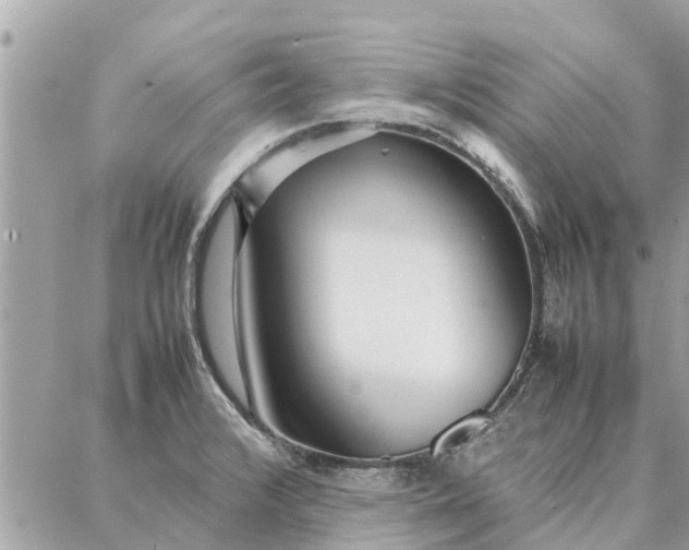 X0000087361376200705041844