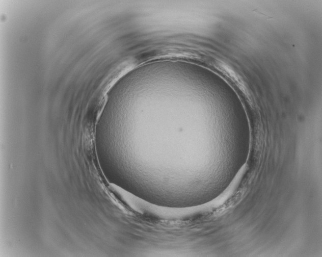 X0000087361377200705041844