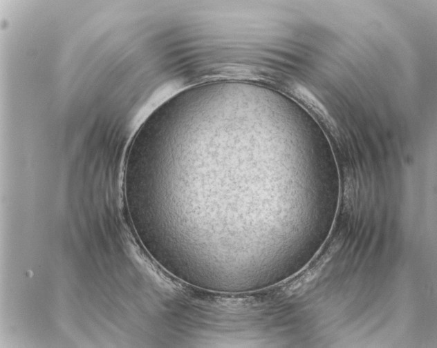 X0000087361378200705041844